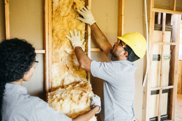 Best Energy-efficient Insulation  in Ogden, NC
