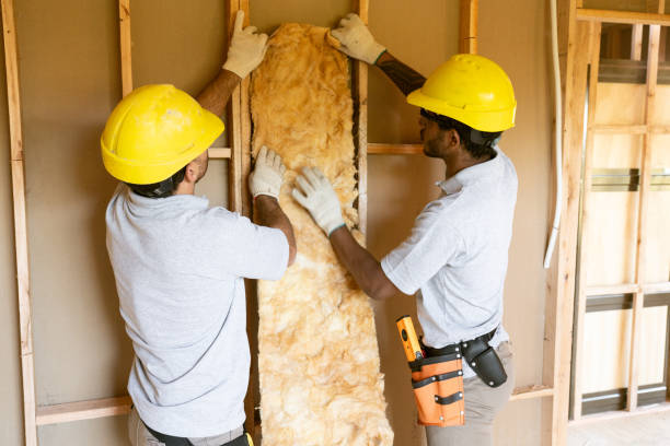 Best Professional Insulation Contractor  in Ogden, NC