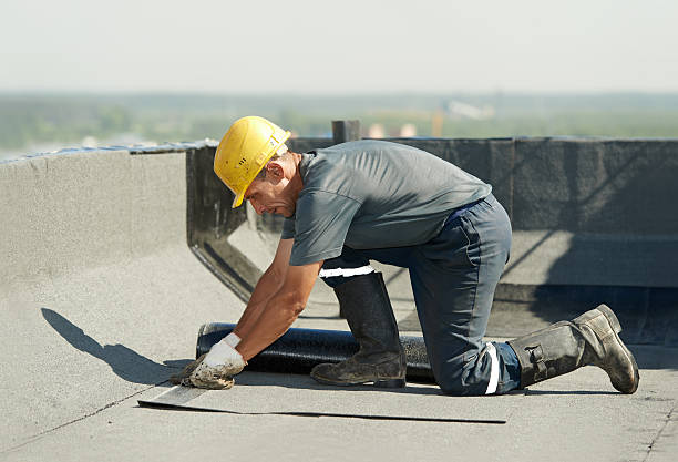 Best Insulation for New Construction  in Ogden, NC