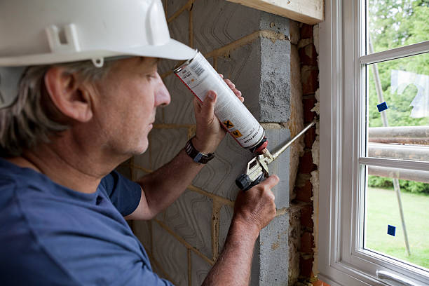 Best Insulation Contractors for Homes  in Ogden, NC