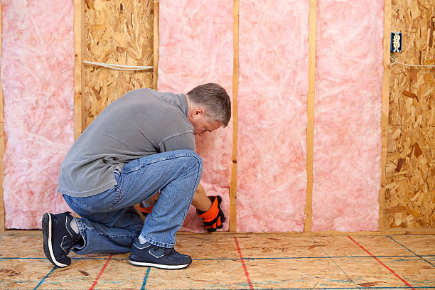 Best Spray Foam Insulation  in Ogden, NC