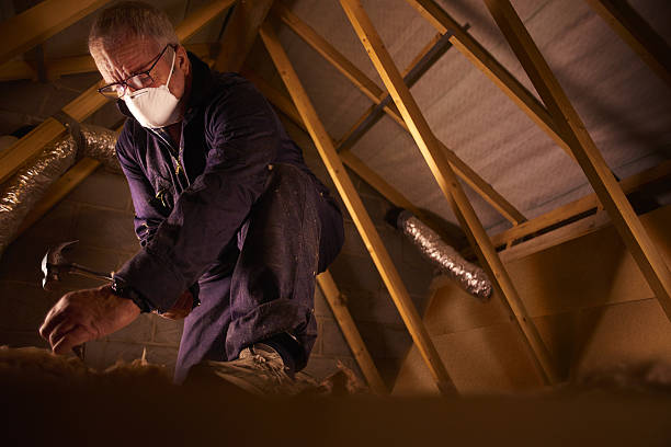 Best Best Insulation Companies  in Ogden, NC