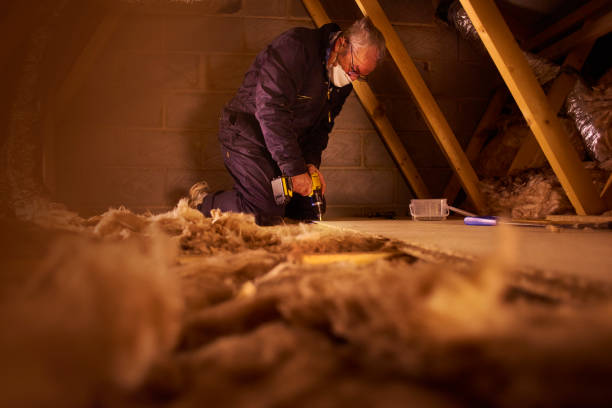Best Insulation Contractors for Homes  in Ogden, NC