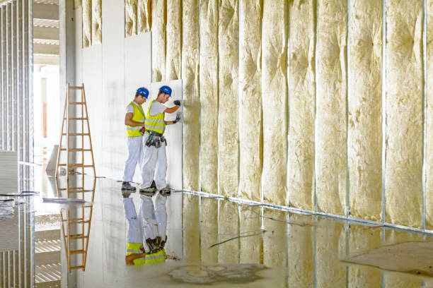 Professional Insulation Contractor in Ogden, NC